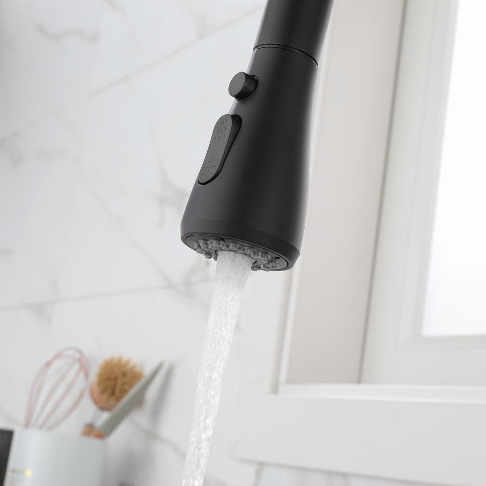 Wellfor Single-Handle Pull Down Sprayer Kitchen Sink Faucet, Matte Black