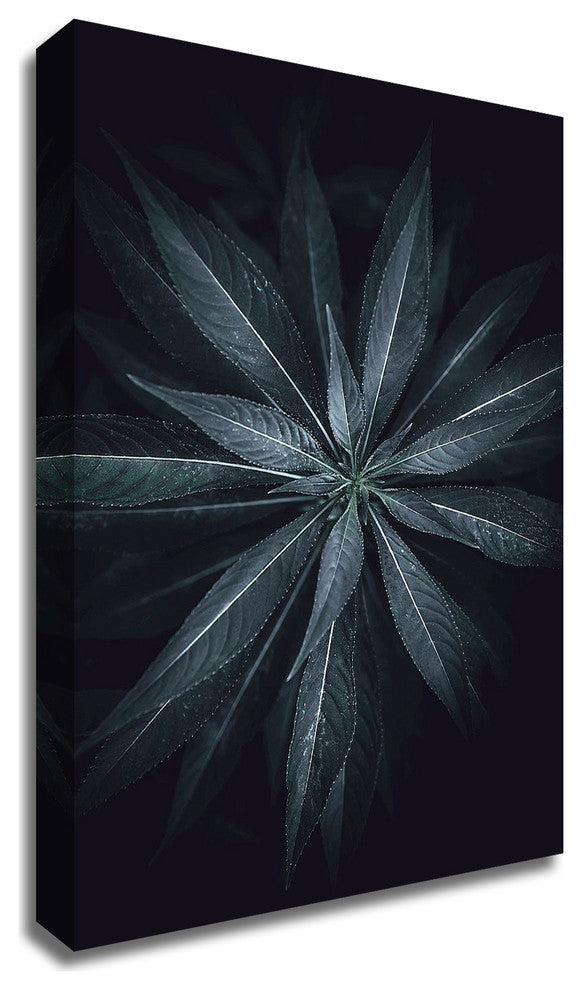 Star Flower by Design Fabrikken, Print on Canvas, 20"x28"