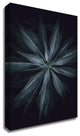 Star Flower by Design Fabrikken, Print on Canvas, 20"x28"