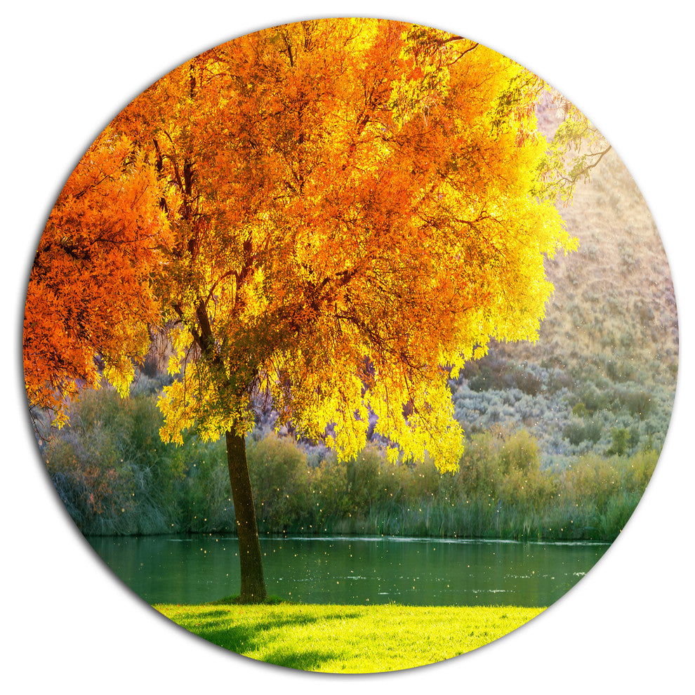 Beautiful Autumn Season In Forest, Landscape Disc Metal Wall Art, 11"