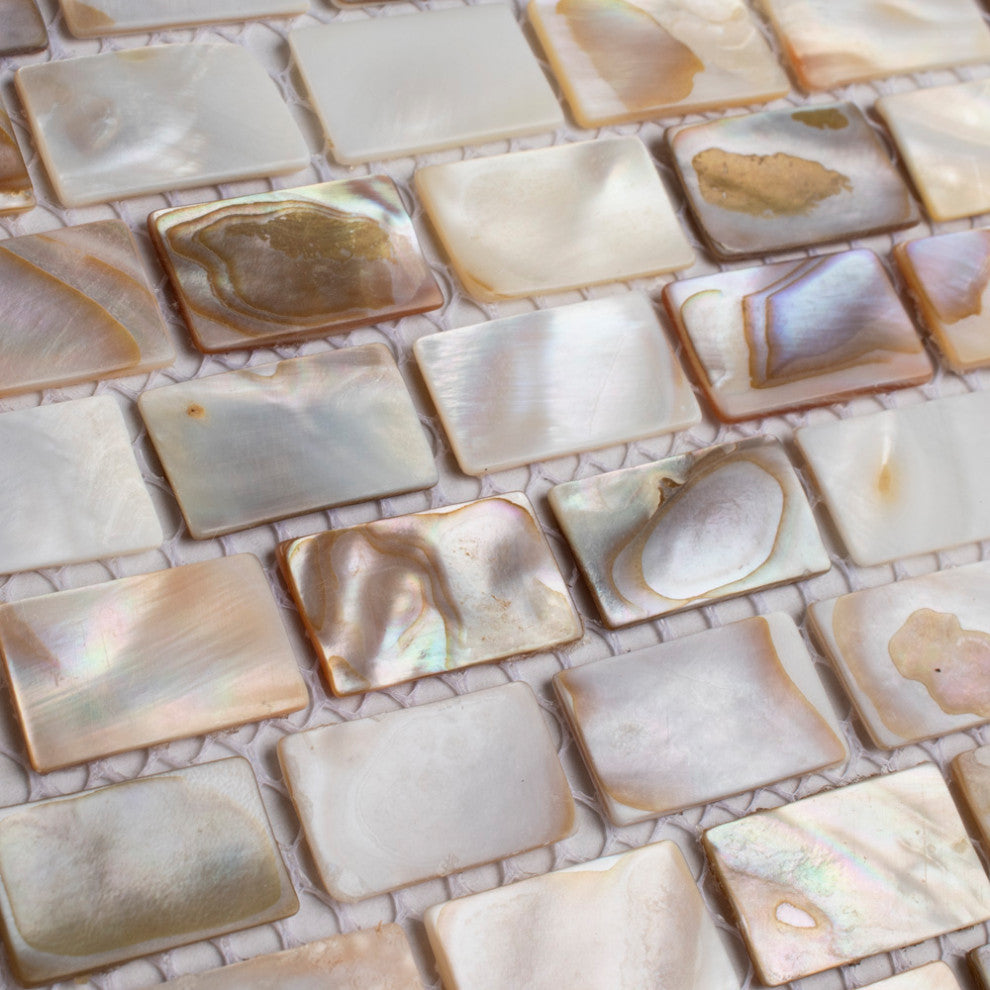 Conchella Subway Natural Natural Shell Wall Tile
