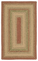 Safavieh Braided Collection BRD303 Rug, Rust/Multi, 2'6"x4'