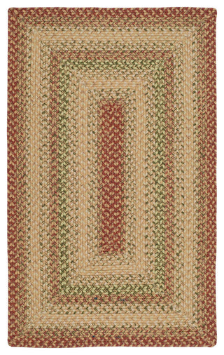 Safavieh Braided Collection BRD303 Rug, Rust/Multi, 2'6"x4'