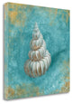"Treasures From The Sea II Aqua" By Danhui Nai, Giclee on Gallery Wrap Canvas