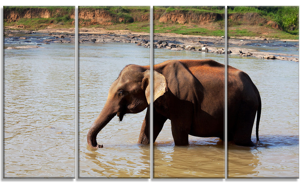 Elephant in Water in Sri Lanka, African Canvas Print, 48"x28", 4 Panels