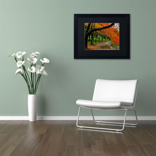 'Tidal Basin Autumn 2' Matted Framed Canvas Art by CATeyes