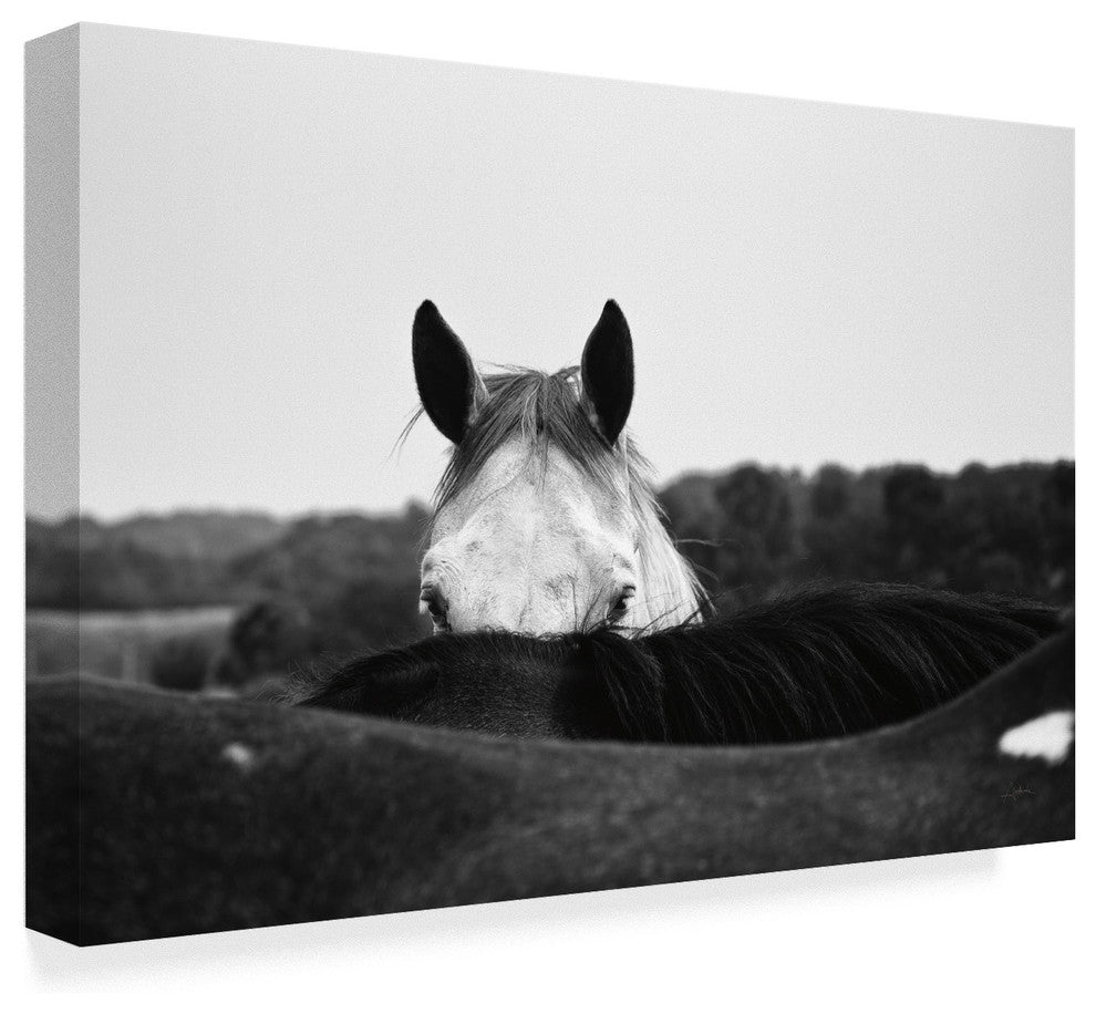 Aledanda 'Flirt White Horse' Canvas Art