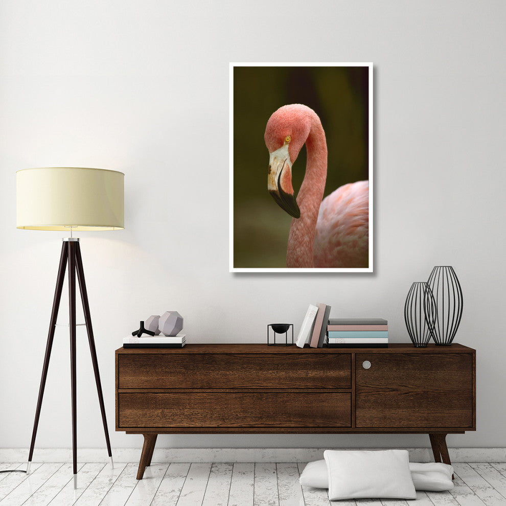 "Greater Flamingo, Caribbean" Digital Paper Print by Tim Fitzharris, 34"x50"