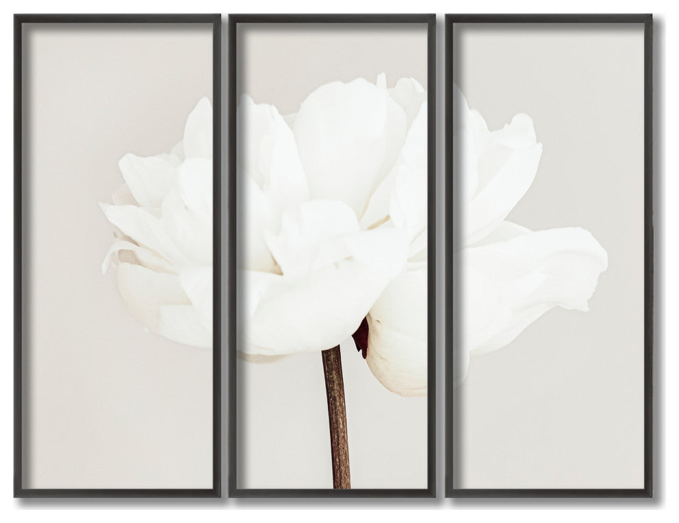 Peony 11 Framed 3-Piece Wall Art Set by 1X, 20"x40", Framed