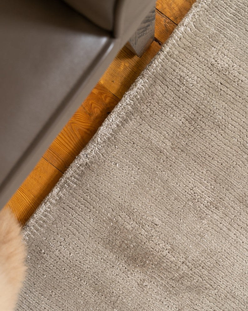 Columbia Hand-Loomed Viscose Grey Contemporary Rug Carpet, Light Grey, 8' X 10'