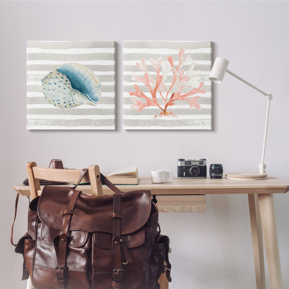 Nautical Curved Shell Pink Coral,24 x 24