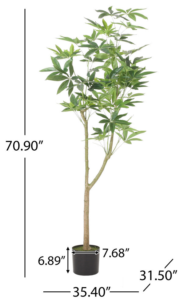 Coles Artificial Money Tree, Green, 35.4wx31.5dx70.9h