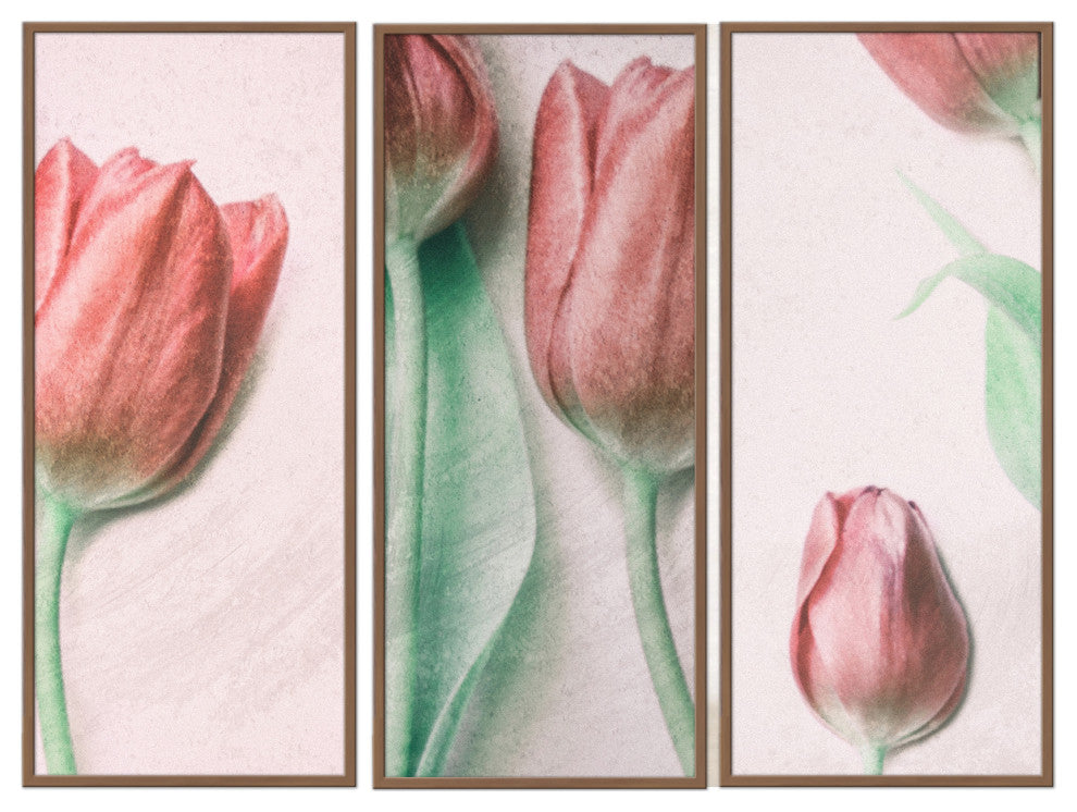 Red Elegance Framed 3-Piece Wall Art Set by Delphine Devos, 12"x24", Framed