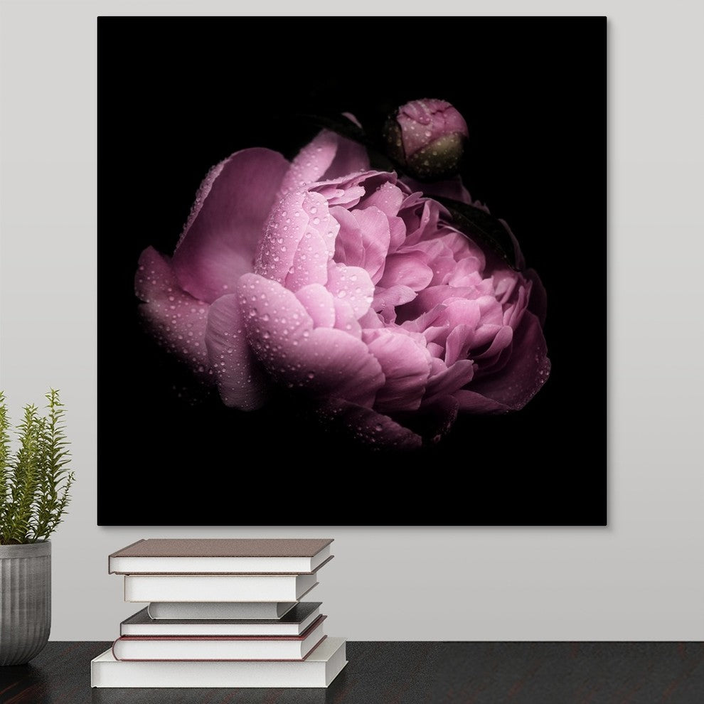 "Peony in the Dark" Wrapped Canvas Art Print, 16"x16"x1.5"