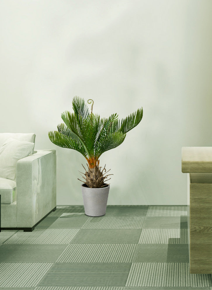 Serene Spaces Living Faux Cycad Tree in Gray Cement Pot, 17" Tall