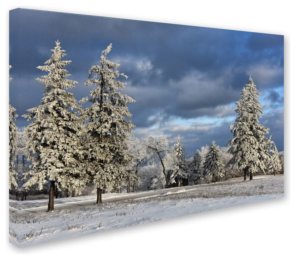 Lois Bryan 'First Snow of the Year' Canvas Art, 32"x22"