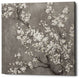 "White Cherry Blossom II on Grey" Giclee Canvas Wall Art, 18"x18"
