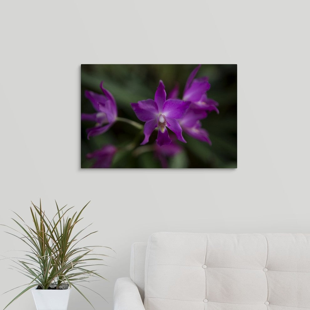 "Orchid III" Wrapped Canvas Art Print, 24"x16"x1.5"