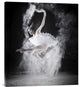 "F L Y" Stretched Canvas Giclee by Yudhistira Yogasara, 26x30"