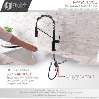 STYLISH Single Handle Pull-Down Dual Mode Kitchen Faucet, Matte Black