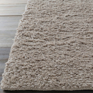 Metropolitan Area Rug, 3'6"x5'6"