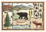 Cabin Area Rug