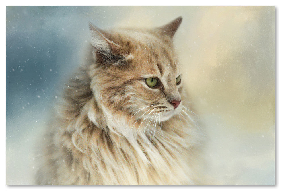 Jai Johnson 'Watching Snow Fall' Canvas Art, 47 x 30