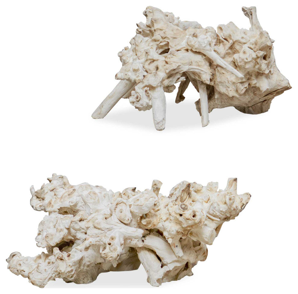 Uttermost Elemental Root Outdoor Sculptures Set of 2