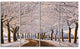Trees And Road in White Winter, Landscape Canvas Art Print, 48"x28", 4 Panels