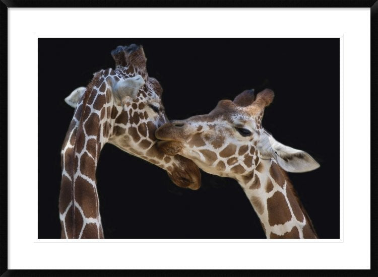"The Kiss" Framed Digital Print by Manfred Foeger, 38"x28"