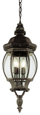 Trans Globe Rochefort 32" Outdoor Hanging Lantern in Black