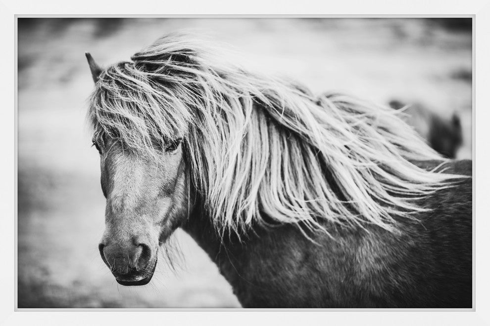 Marmont Hill, "Beautiful Mane" Framed Painting Print, 45x30