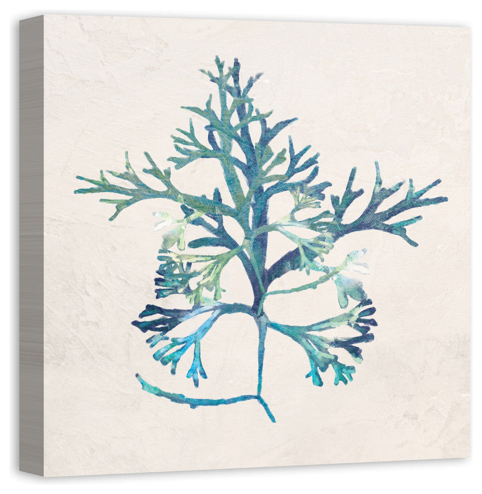 "Emerald Sea Weed" Canvas Wall Art, 24x24