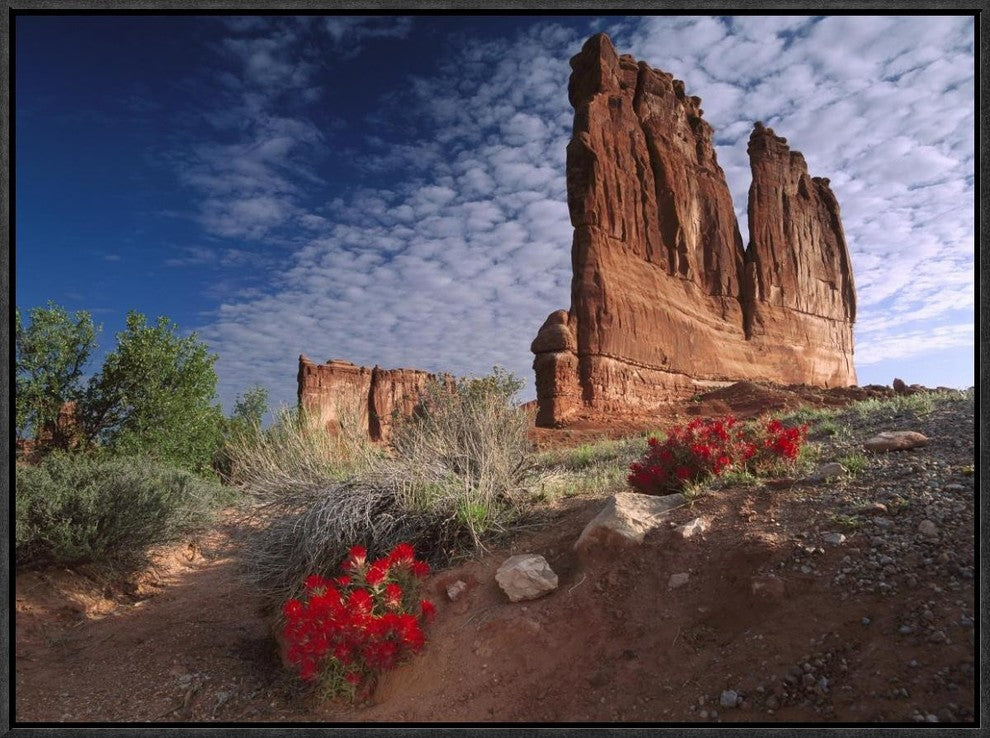 Paintbrush and The Organ Rock, Arches National Park, Utah, 24"x18"