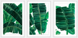 Delacroix II Triptych, 36x18