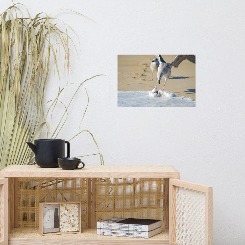 Oh That's Cold (Coastal Birds) Wildlife Photography Unframed Wall Art Print, 12" X 18"