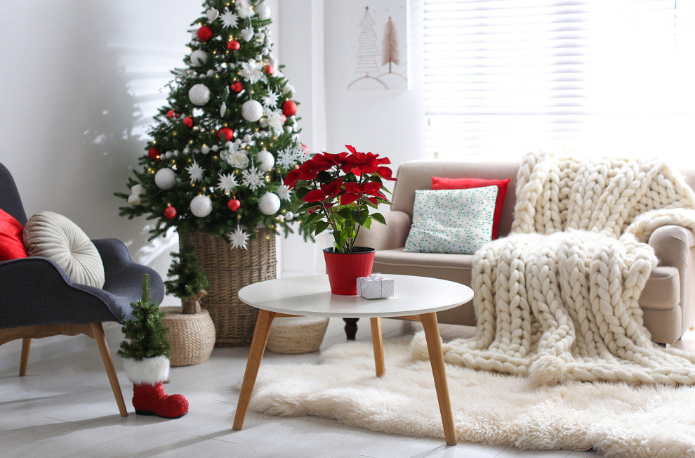 Tree Outlines Accent Pillow, Turquoise, 26"x26"