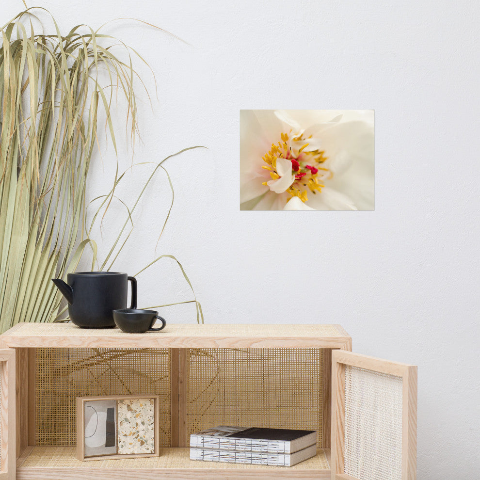 Eye of Peony Nature Photography, Floral Unframed Wall Art Print, 12" X 16"