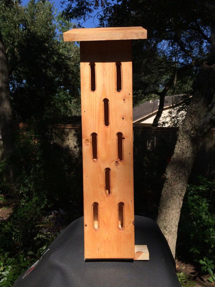 Butterfly House, Golden Pecan