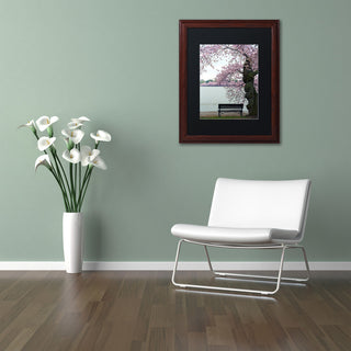 CATeyes 'Tranquility' Matted Framed Art, 11x14