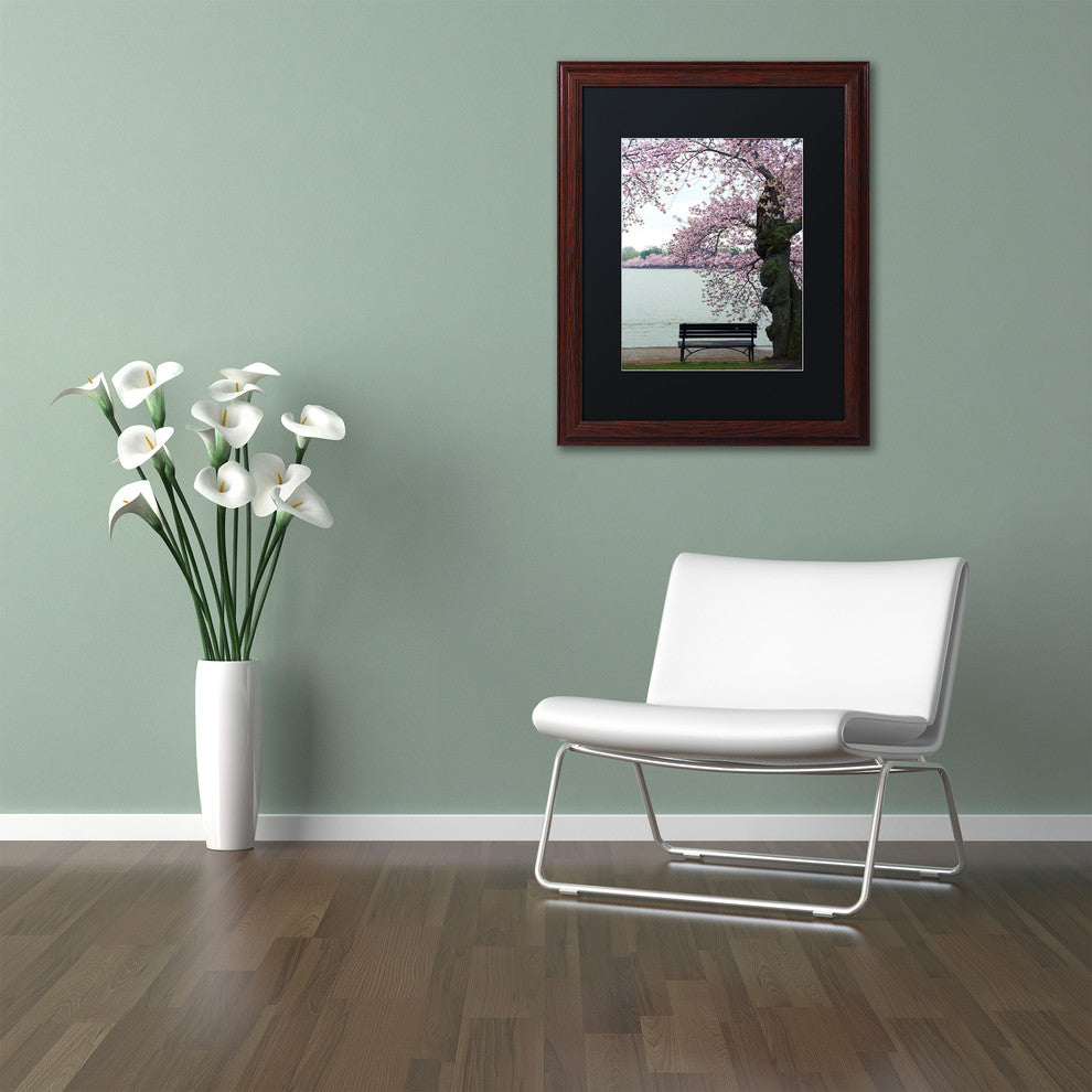 CATeyes 'Tranquility' Matted Framed Art, 11x14