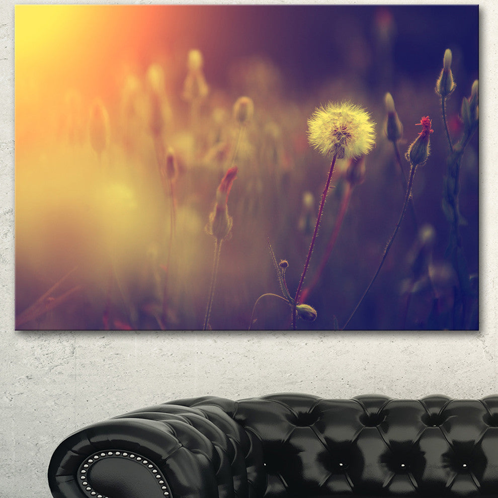 Vintage Photo Of Dandelion Field, Large Floral Canvas Art Print, 40"x30"