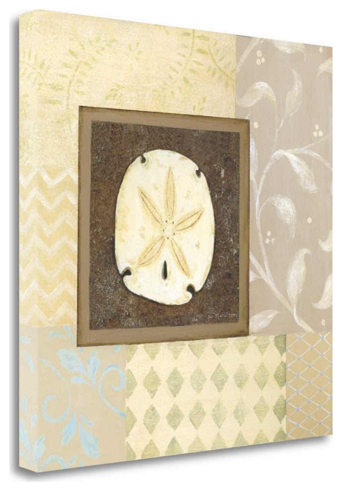 20" Sandollar With Multi-Pattern Background Giclee Wrap Canvas Wall Art