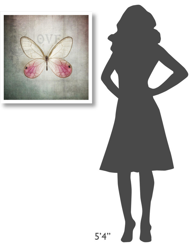 "French Butterfly I" Digital Paper Print by Debra Van Swearingen, 26"x26"