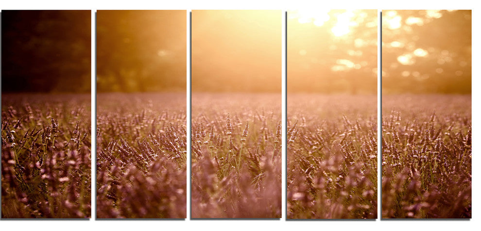 Brown Tinged Lavender Field Sunset, Floral Canvas Art Print, 60"x28", 5 Panels