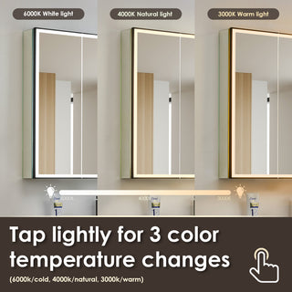 Fenice Surface-Mount/Reccessed LED Lighted Bathroom Medicine Cabinet, 24"