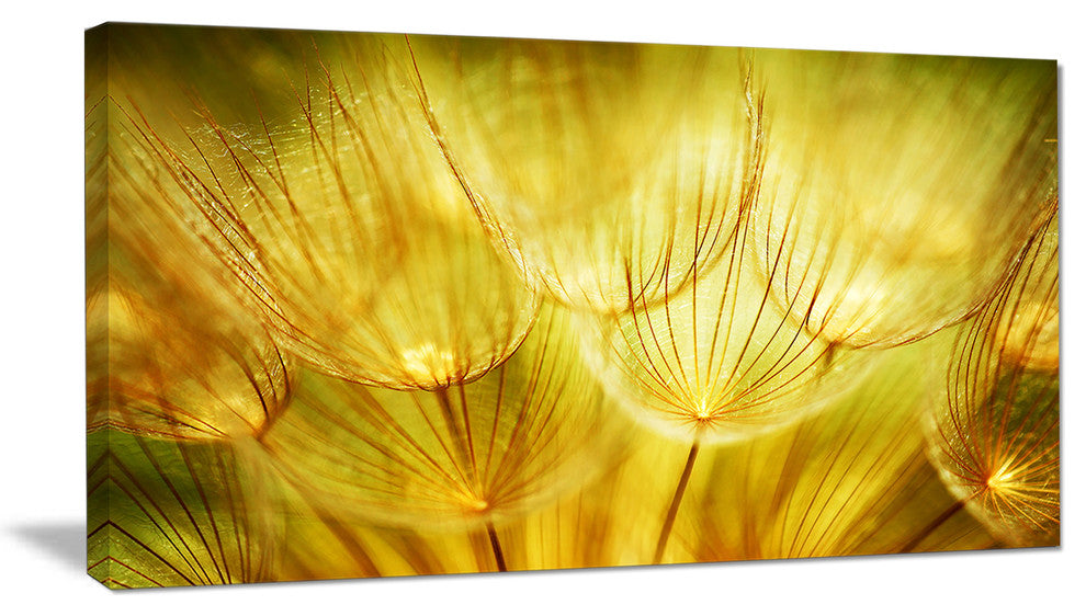 "Soft Yellow Dandelion Flowers" Floral Photography Canvas Print, 32"x16"
