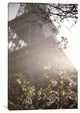 "Eiffel Tower in Spring" by Laura Marshall, 18x12x1.5