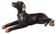 Uttermost 19070 - Resting Dog Statue - Aged Black and Caramel Finish