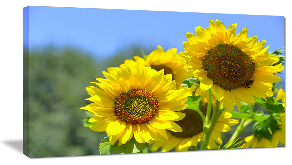 Beautiful Sunflowers View, Floral Canvas Art Print, 32"x16"